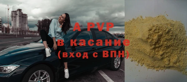 стаф Алексин