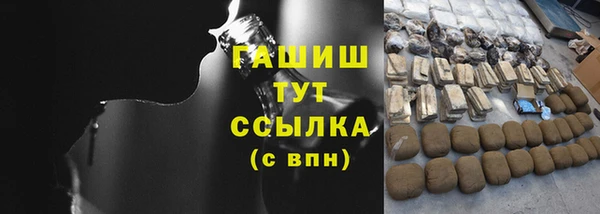 стаф Алексин