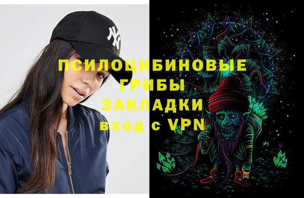 гашик Алексеевка
