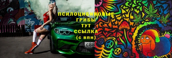 гашик Алексеевка