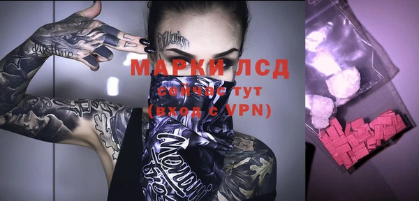 стаф Алексин