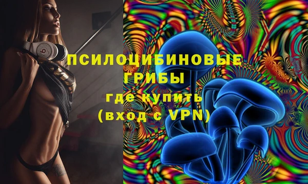 гашик Алексеевка